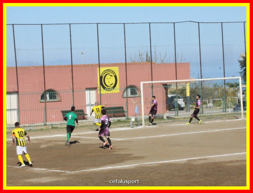 190310 Cephal_Torrenov 046_tn.jpg